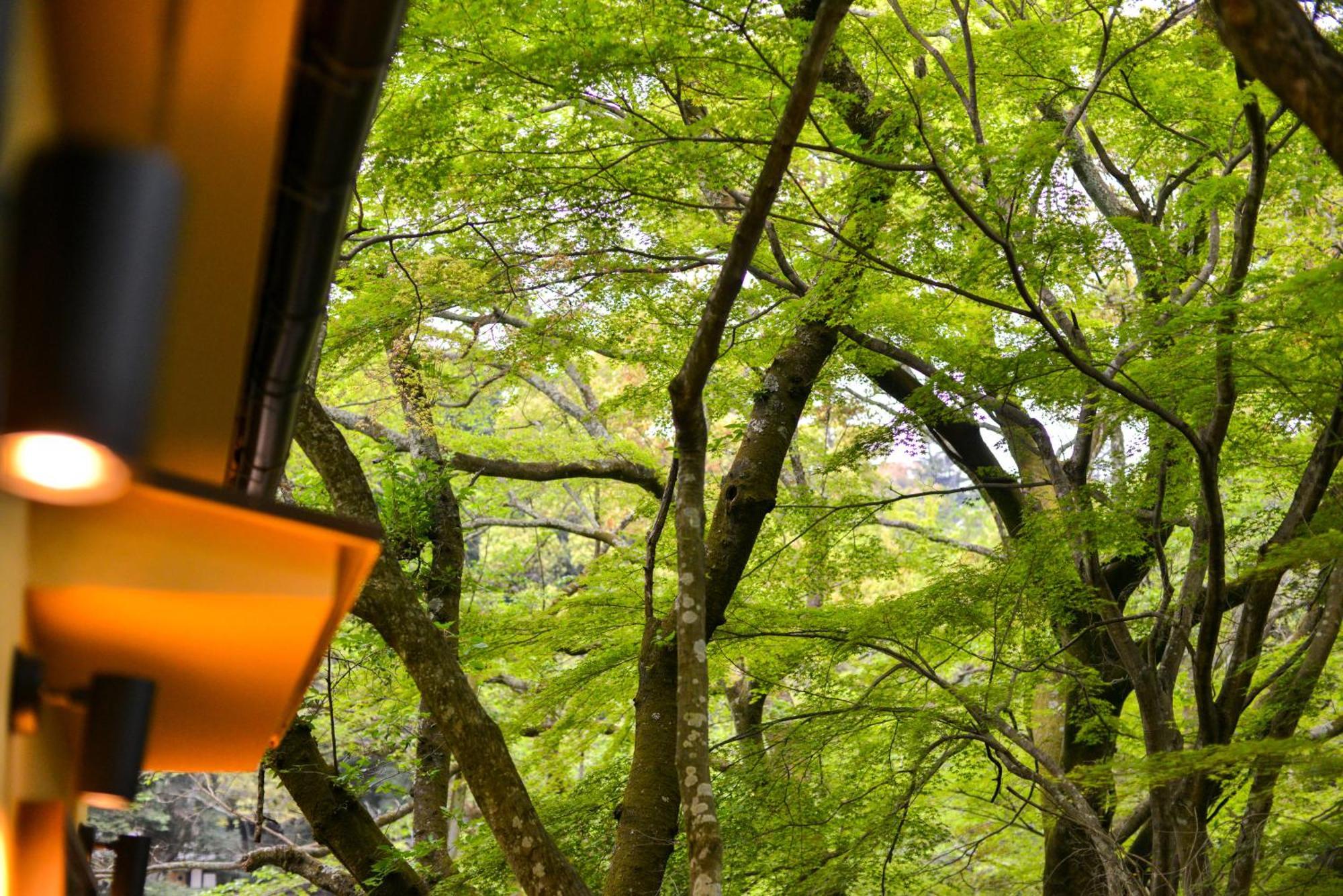 Villa Hamorebi Hatsukaichi Buitenkant foto