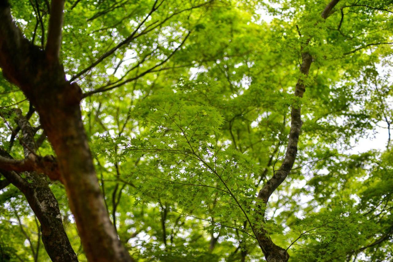 Villa Hamorebi Hatsukaichi Buitenkant foto